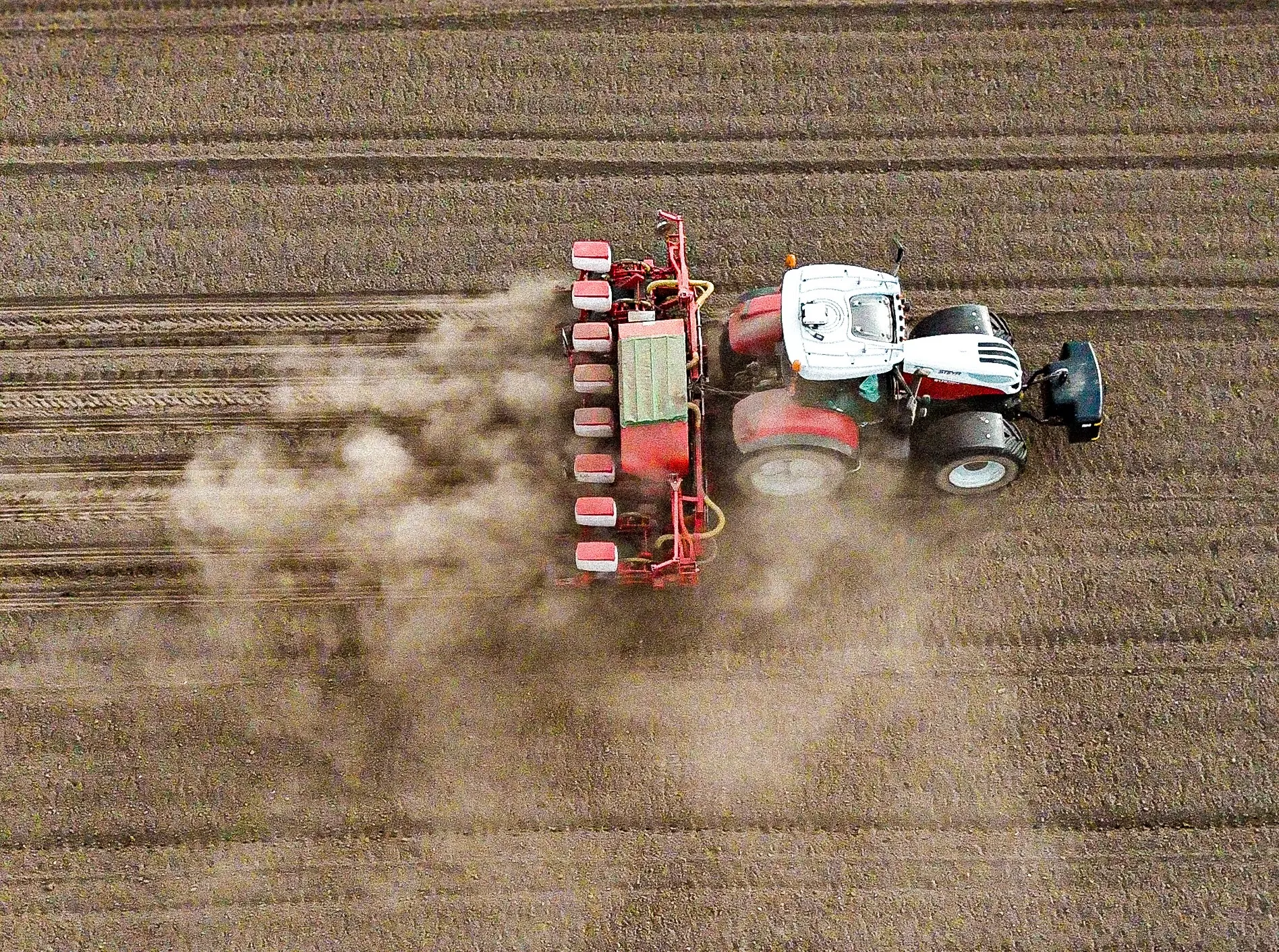 Een inkijk in ons maïsaanbod voor aankomend seizoen