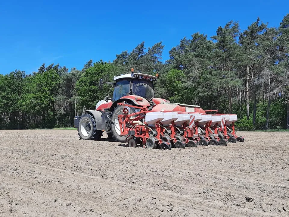 Maïszaaier 8 Rijen